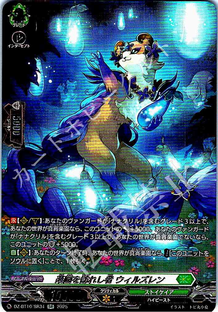 DZ/BT10/SR34 Willzren, Visitor of Paradise