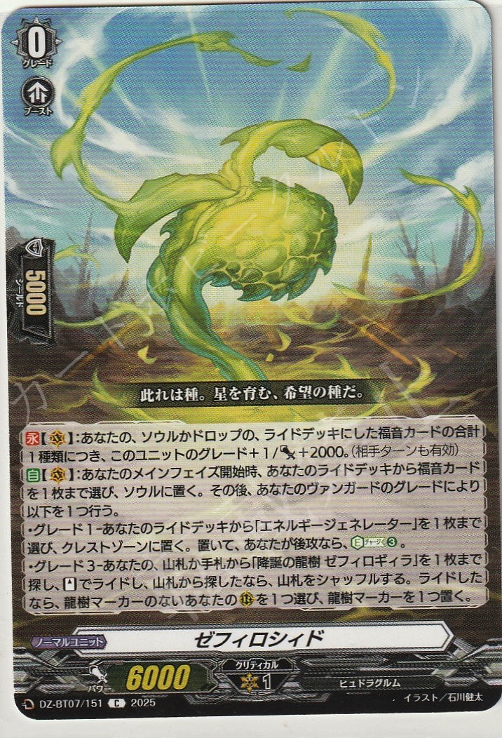 DZ/BT07/151C Zephyroside