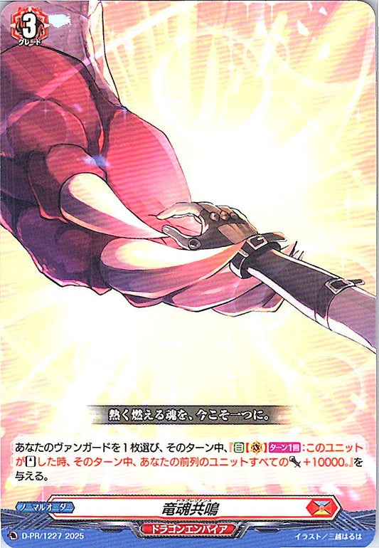 D/PR/1227PR 竜魂共鳴 【別拠点在庫品B】
