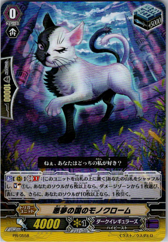 PR/0558 Monochrome of the Nightmare Country [Warehouse Stock]