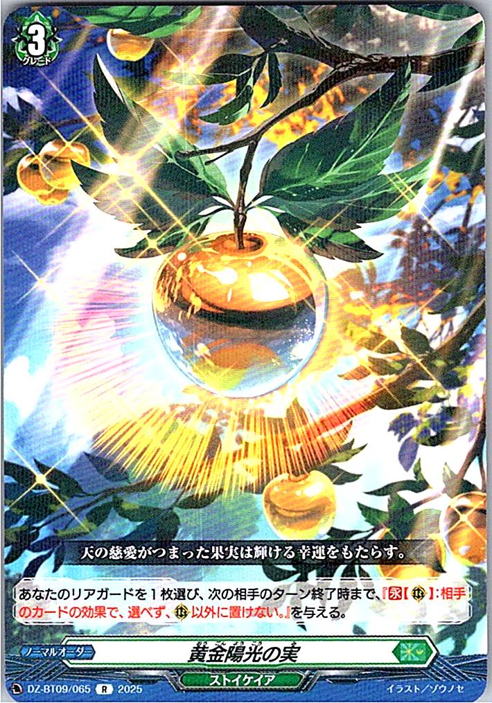 DZ/BT09/065R 黄金陽光の実 【別拠点在庫品B】