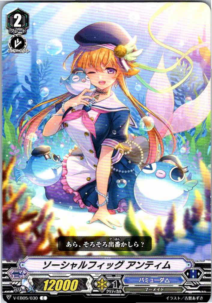 V/EB05/030C ソーシャルフィッグ アンティム 【別拠点在庫品B】