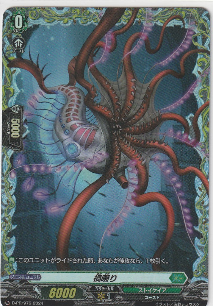 D/PR/976 Magatsusuri (Store purchase)