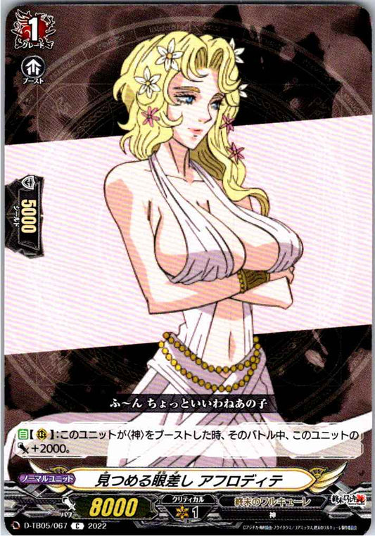 D/TB05/067C 見つめる眼差し アフロディテ 【倉庫在庫品】