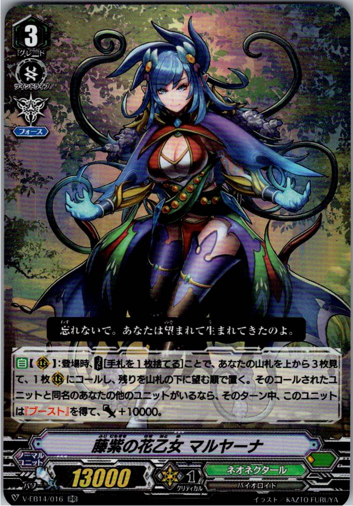 V/EB14/016RR 藤紫の花乙女 マルヤーナ 【別拠点在庫品B】