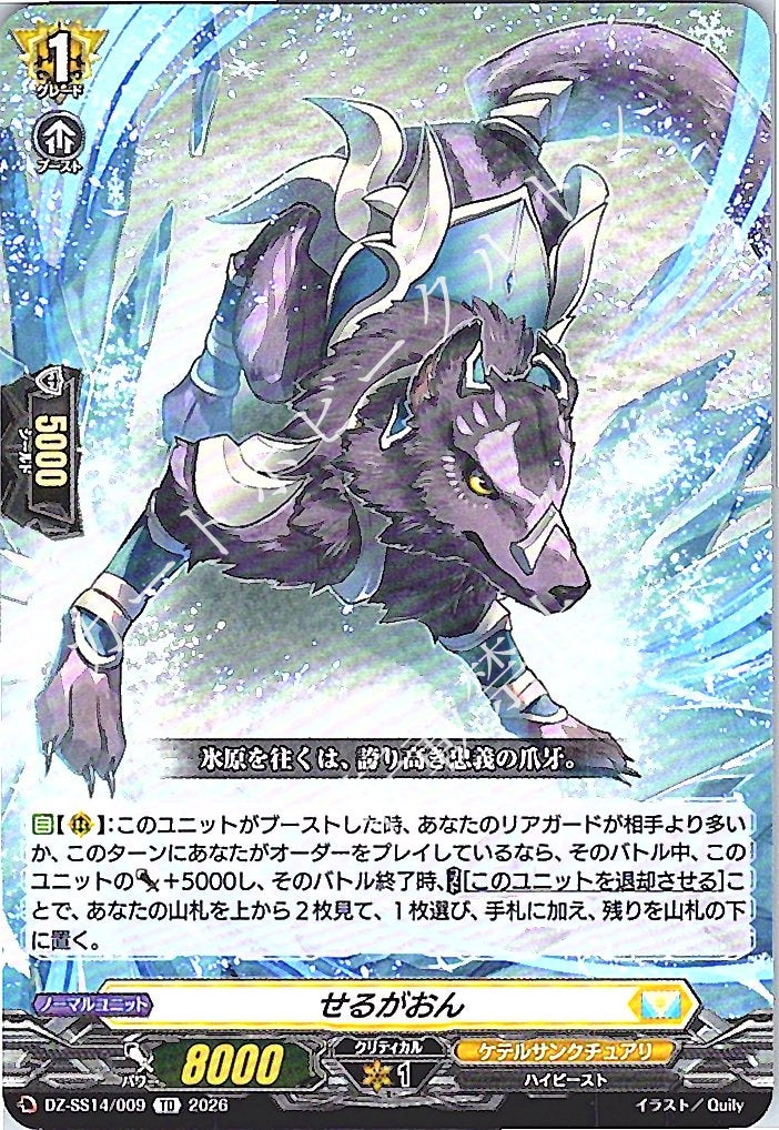 DZ/SS14/009TD せるがおん