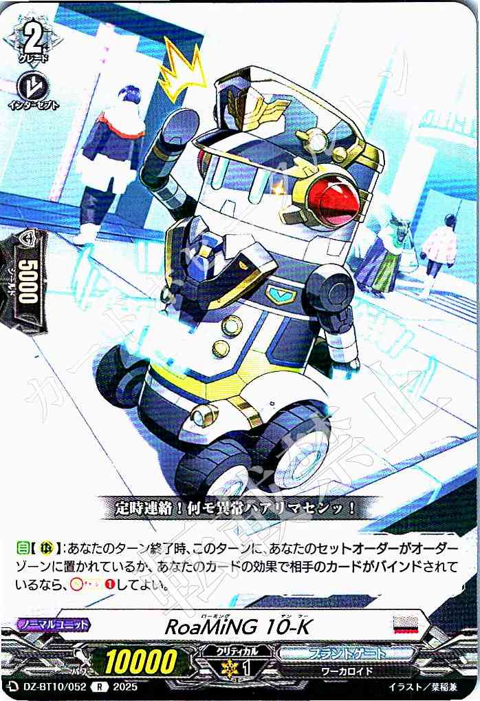 DZ/BT10/052 RoaMiNG 10-K