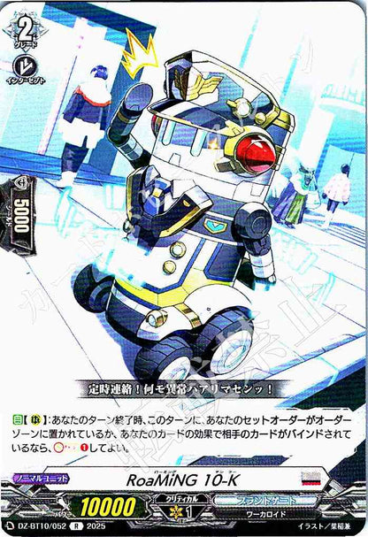 DZ/BT10/052 RoaMiNG 10-K