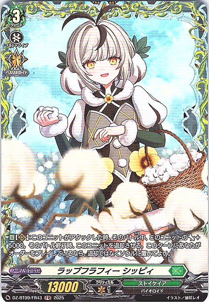 DZ/BT09/FR43FR Wrap Fluffy, Shippii
