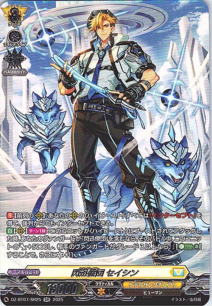 DZ/BT07/SR25SR Flash Squad Seishin