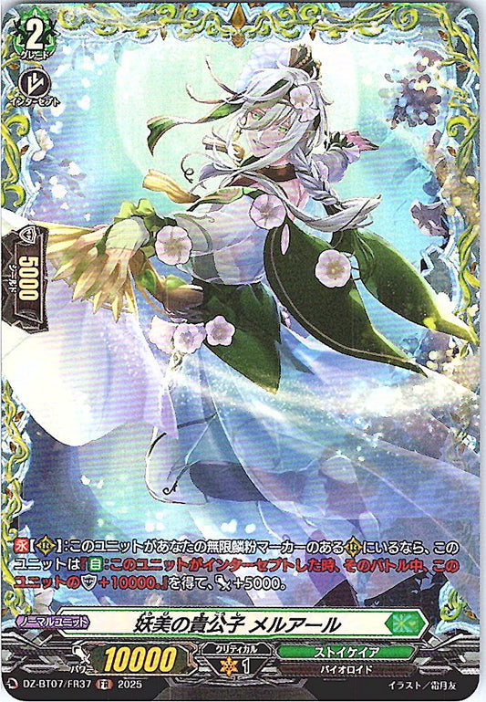 DZ/BT07/FR37FR 妖美の貴公子 メルアール