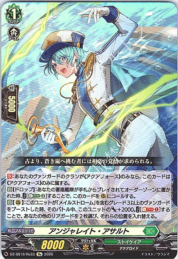 DZ/SS16/Re33Re Anjulate Assault