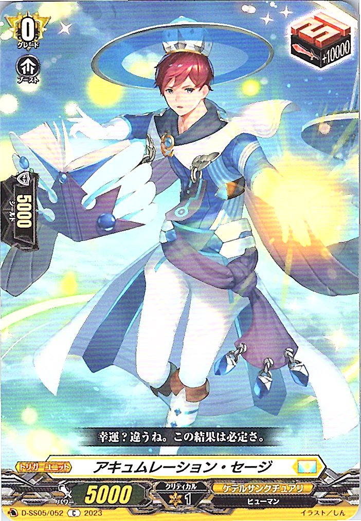 D/SS05/052C Accumulation Sage