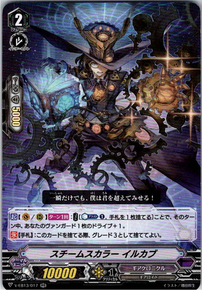 V/EB13/017RR スチームスカラー イルカブ 【別拠点在庫品B】