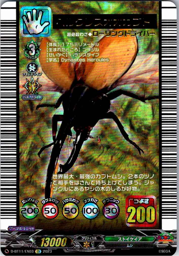 D/BT11/EX03EN Hercules Beetle