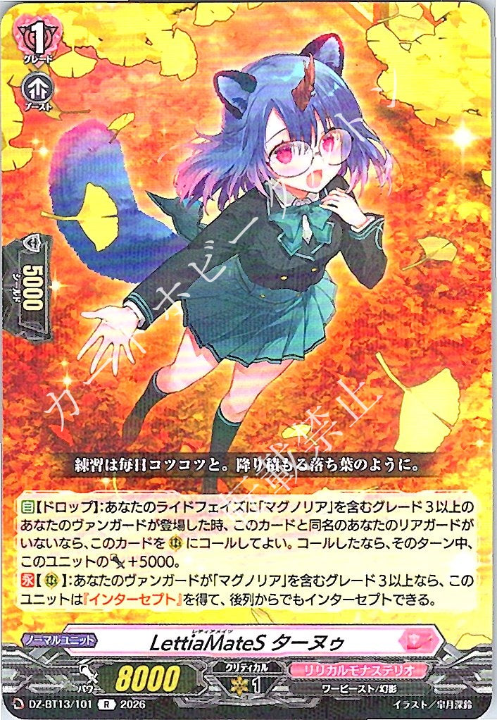 DZ/BT13/101R LettiaMateS ターヌゥ