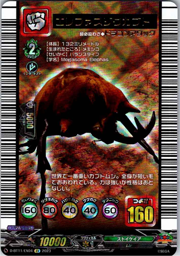 D/BT11/EX04EX Elephas Caucasus