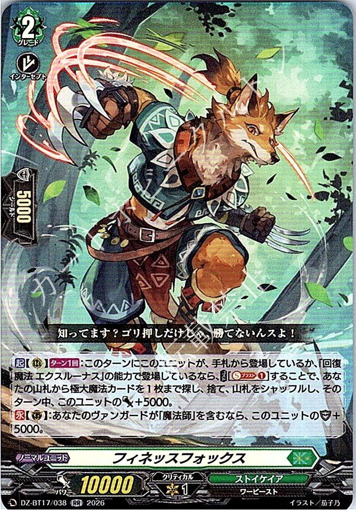 DZ/BT17/038RR フィネッスフォックス