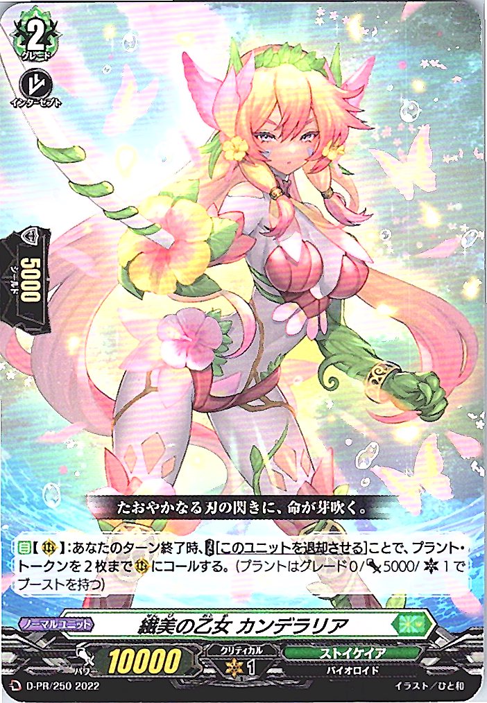 D/PR/250PR Candelaria, the Delicate Beauty [Warehouse Stock]