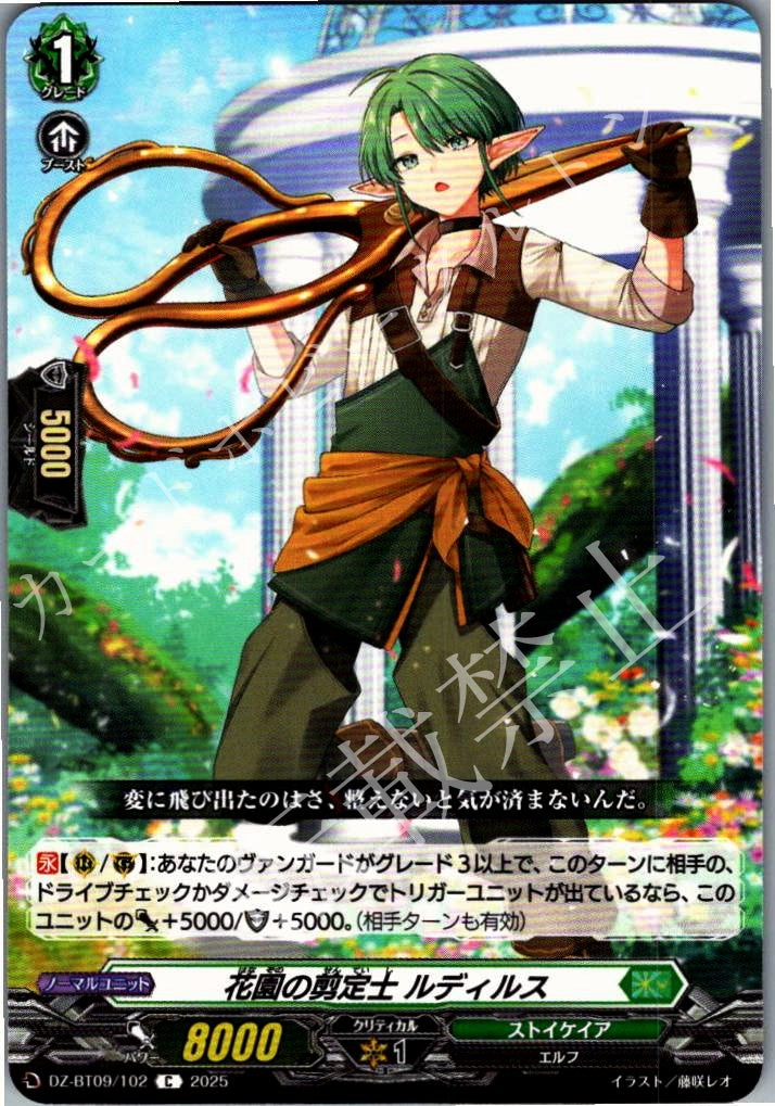 DZ/BT09/102C Gardener Rudylose