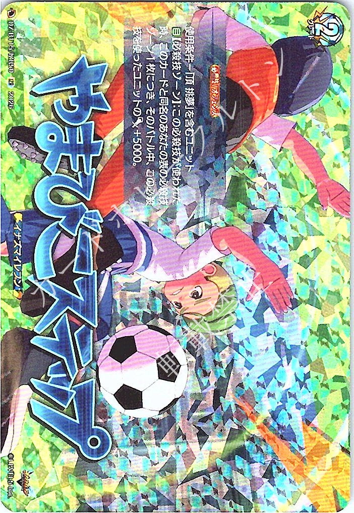 DZ/BT15/IZR50IZR やまびこステップ