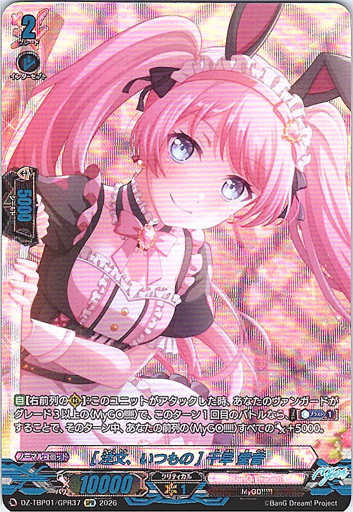 DZ/TBP01/GPR37GPR [Order, the usual] Chihaya Anon