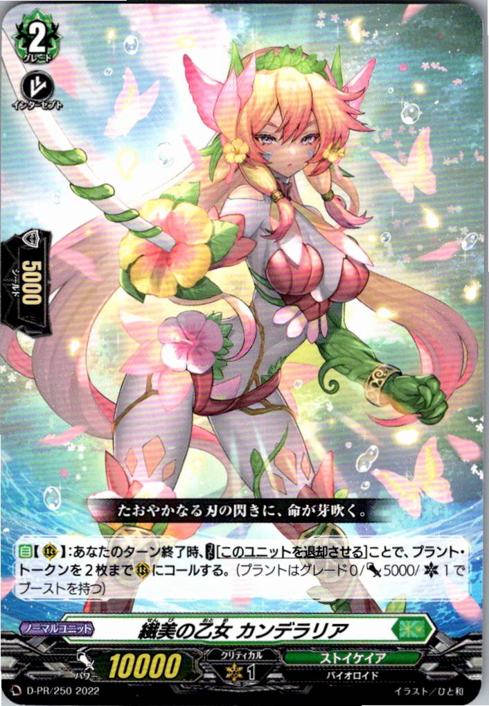D/PR/250PR Candelaria, the Delicate Beauty [Warehouse Stock]