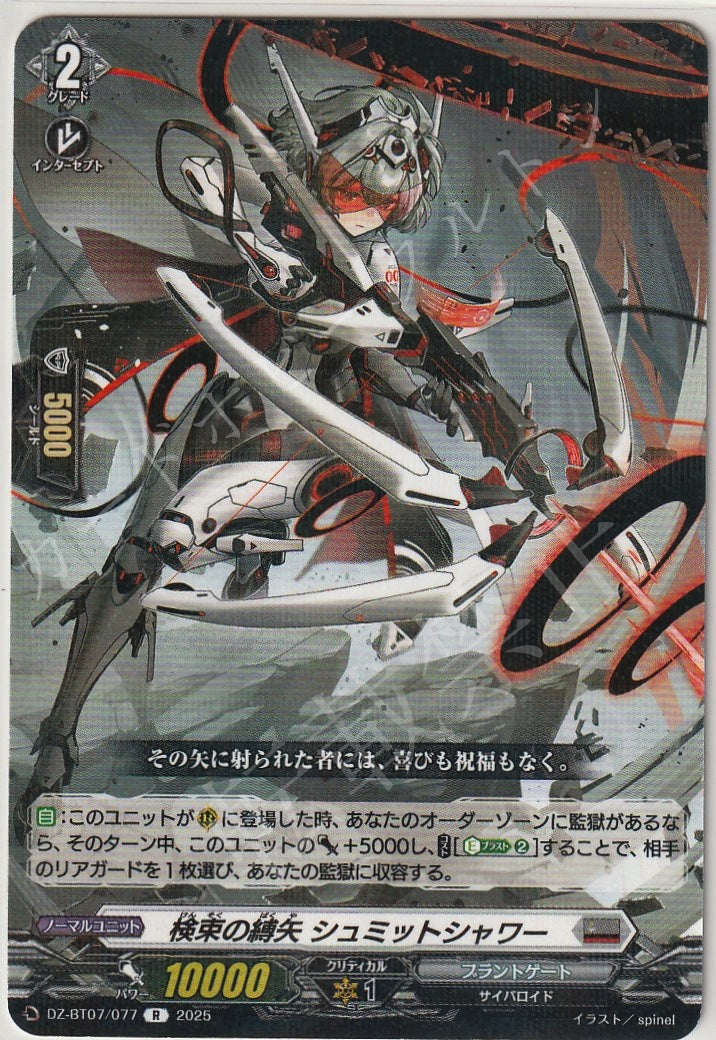DZ/BT07/077R Shackle Arrow of Arrest, Schmidtsauger