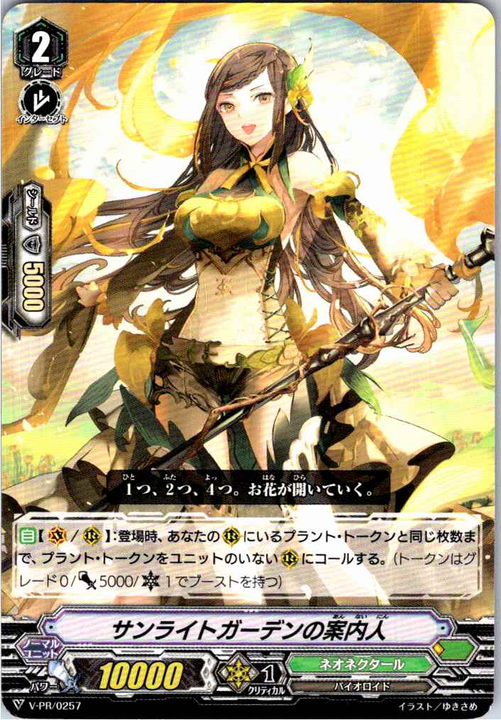 V/PR/0257PR サンライトガーデンの案内人 【別拠点在庫品B】