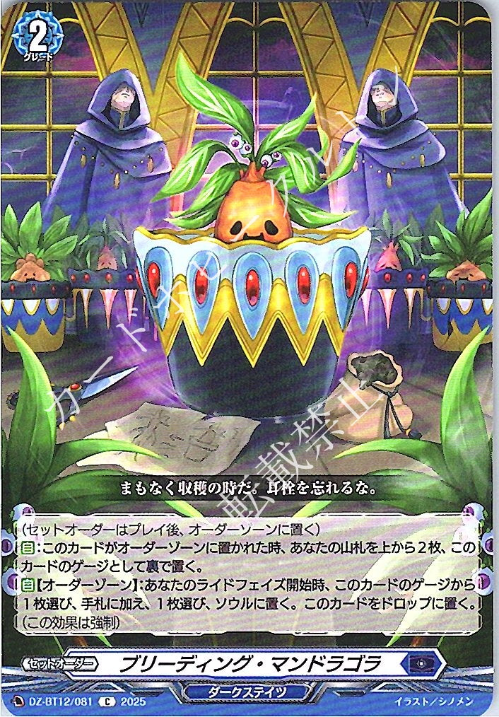 DZ/BT12/081C Bleeding Mandragora