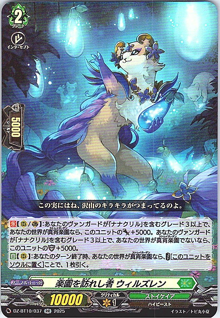 DZ/BT10/037 Willzren, Visitor of Paradise