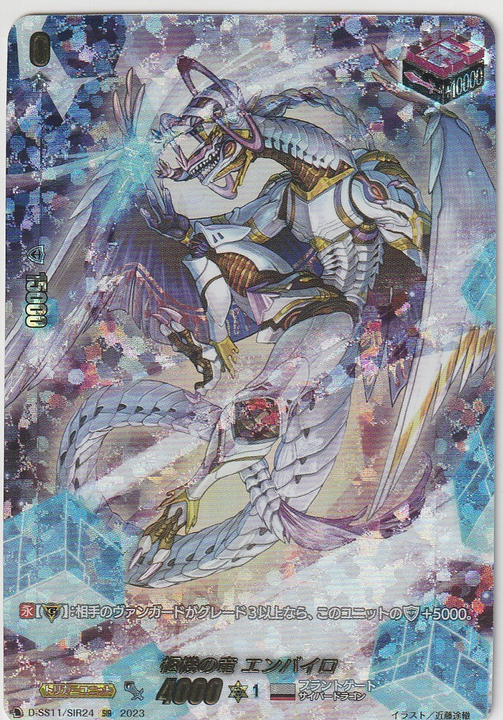 D/SS11/SIR24SIR Coffin Dragon, Envario [In-store purchase item]