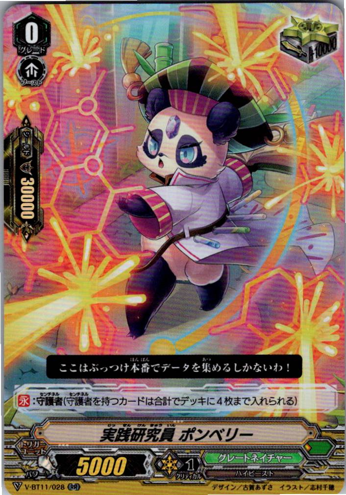 V/BT11/028RR 実践研究員 ポンベリー 【別拠点在庫品B】