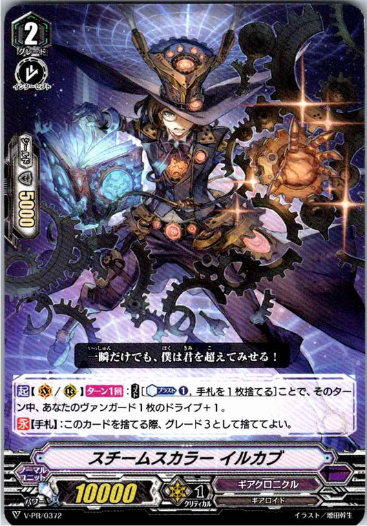 V/PR/0372PR スチームスカラー イルカブ 【別拠点在庫品B】