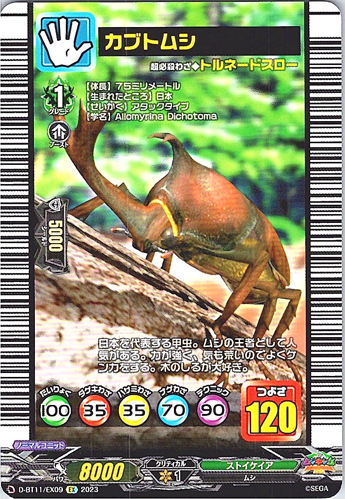 D/BT11/EX09EX カブトムシ 【別拠点在庫品B】
