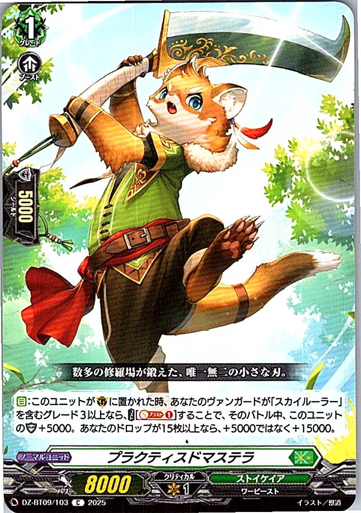 DZ/BT09/103C プラクティスドマステラ 【別拠点在庫品B】