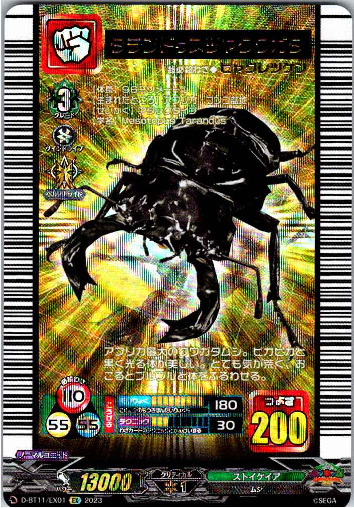 D/BT11/EX01EX Prosopocoilus taurus