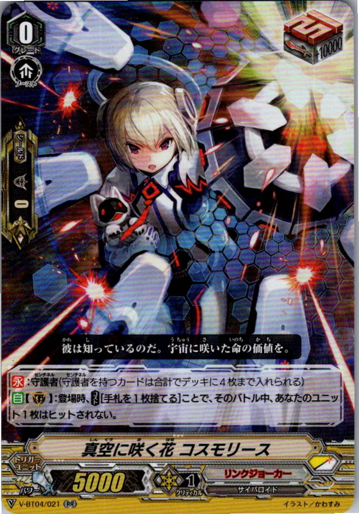 V/BT04/021RR Cosmos Wreath, Flower Blooming in the Vacuum [Warehouse Stock]