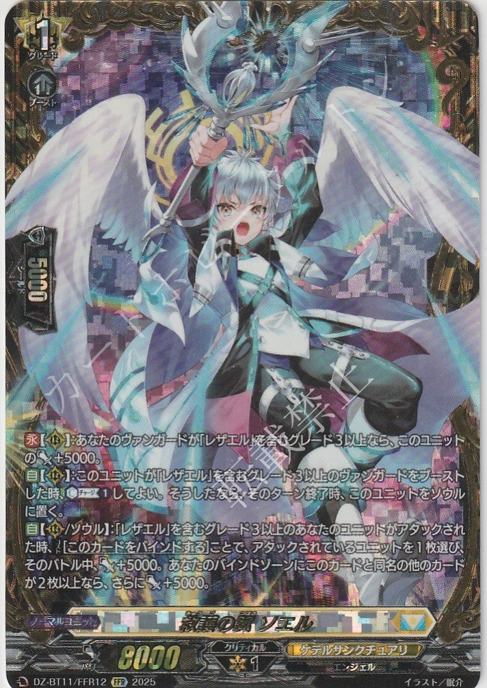DZ/BT11/FFR12FFR Soel, the Rescuing Wings [Pre-owned store item]