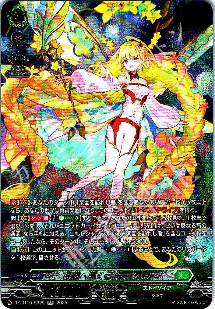 DZ/BT10/SR29 One Who Guides to Paradise, Nanacril