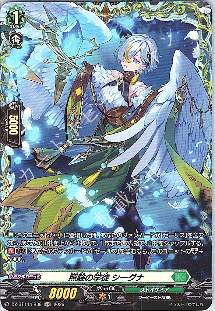 DZ/BT14/FR38FR Scrutiny Scholar, Siegna