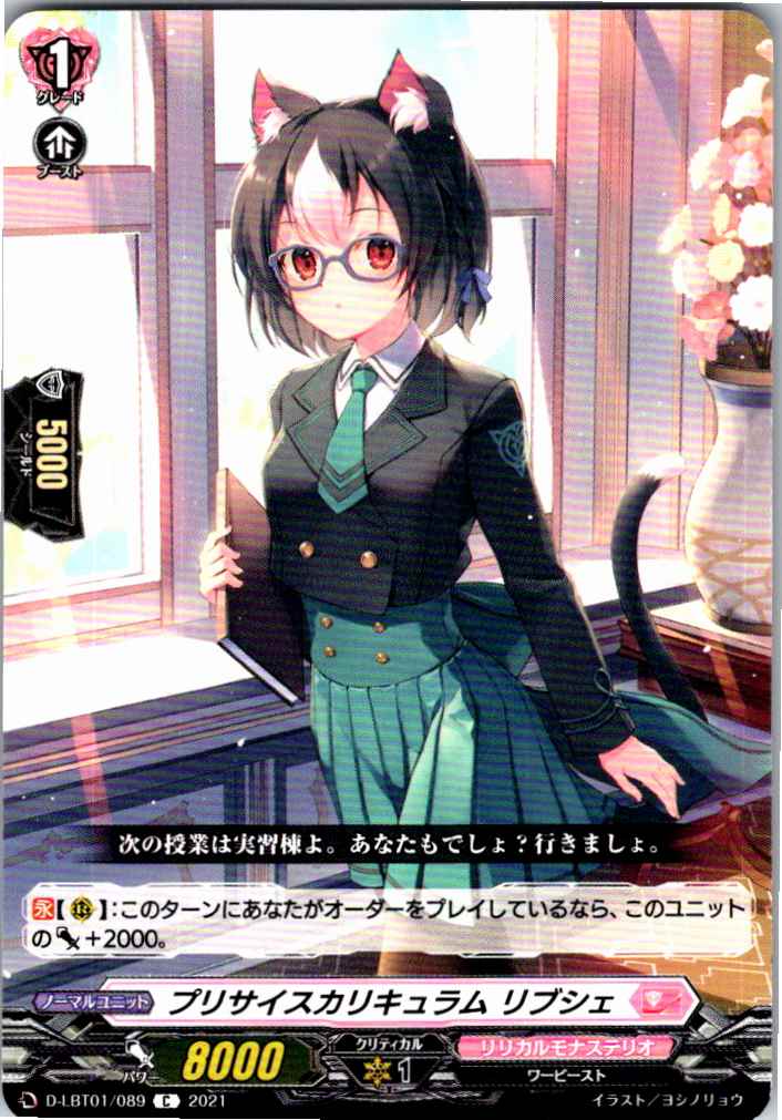 D/LBT01/089C プリサイスカリキュラム リブシェ 【別拠点在庫品B】