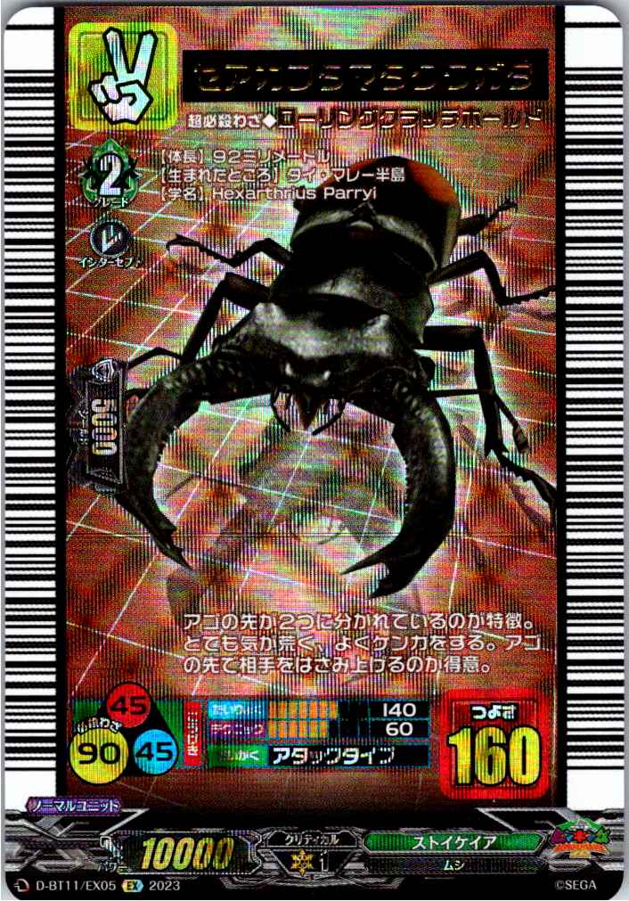 D/BT11/EX05EX Prosopocoilus bison