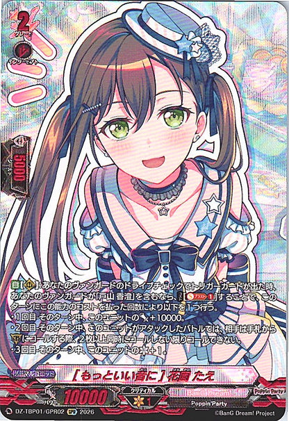 DZ/TBP01/GPR02GPR [もっといい音に] 花園 たえ