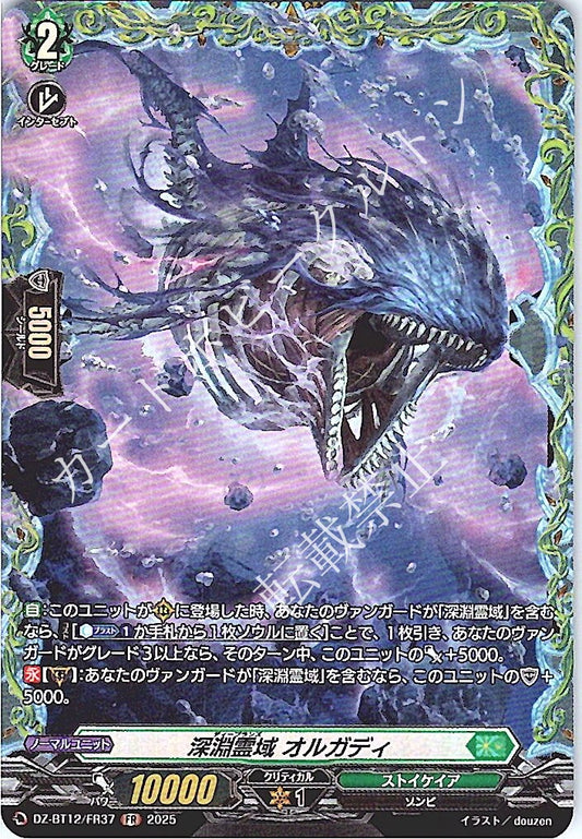 DZ/BT12/FR37FR 深淵霊域 オルガディ