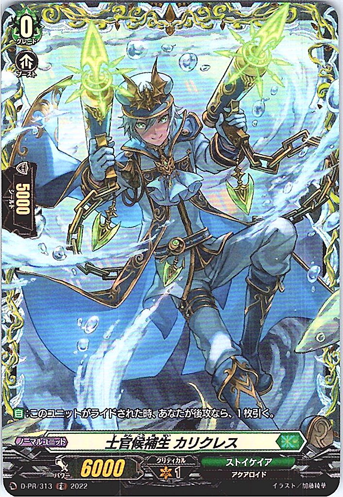 D/PR/313FR Cadet Callicles [In-store purchase item]