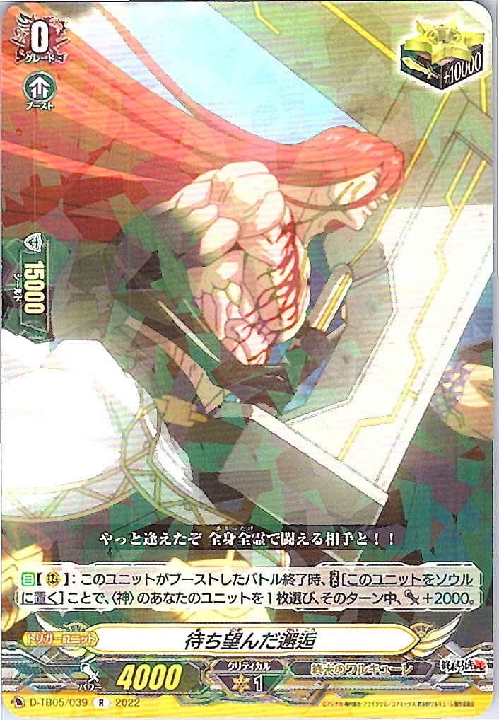 D/TB05/039R 待ち望んだ邂逅 【別拠点在庫品B】
