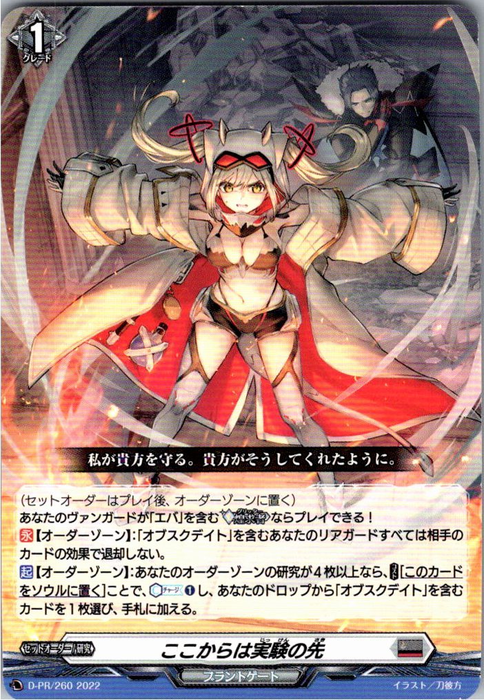 D/PR/260PR ここからは実験の先 【別拠点在庫品B】