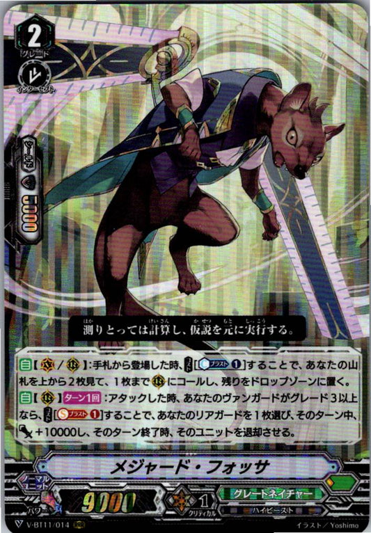 V/BT11/014RRR メジャード・フォッサ 【倉庫在庫品】