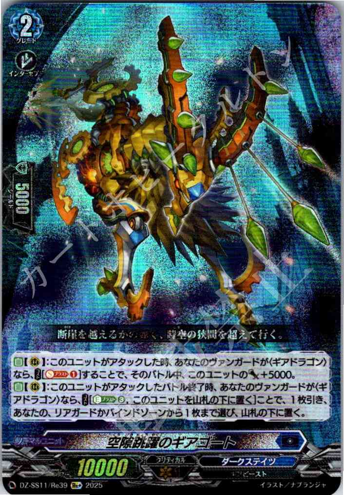 DZ/SS11/Re39Re+ Geargoat of Spatial Leap [In-store purchase item]